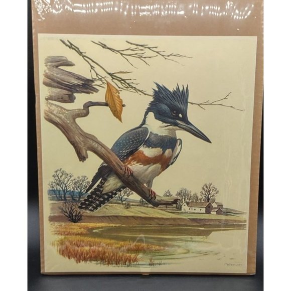 Peterson Print Kingfisher 11 Wide by 12.5 High Inches - Picture 4 of 8